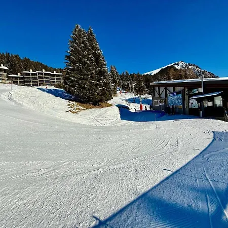 Chalet S 4 4 Familial 10pax Gryon