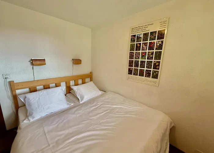 S 4 4 Familial 10pax