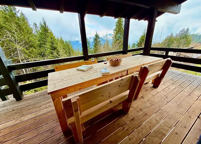 Chalet S 4 4 Familial 10pax Gryon