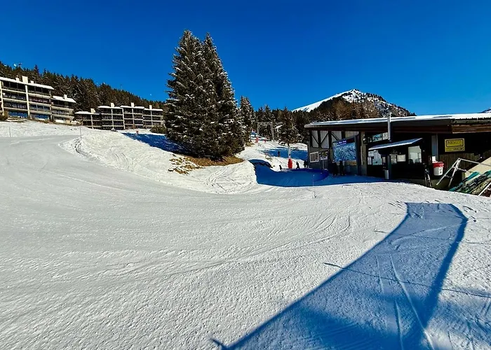 Chalet S 4 4 Familial 10pax Gryon