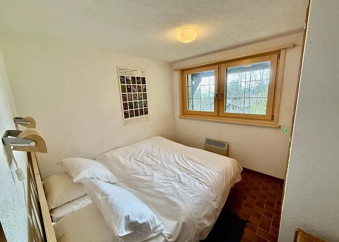 S 4 4 Familial 10pax Chalet Gryon