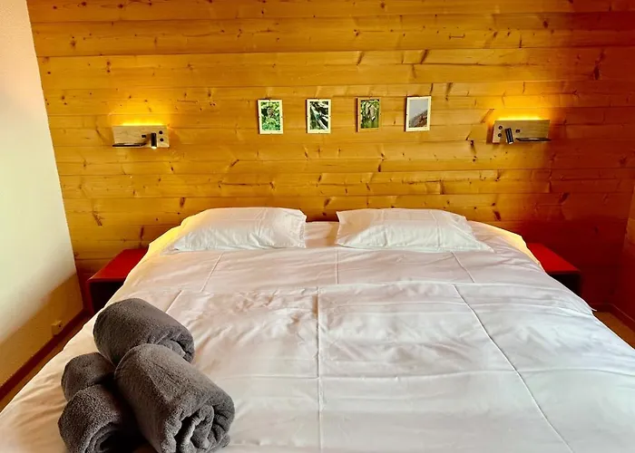 S 4 4 Familial 10pax Gryon