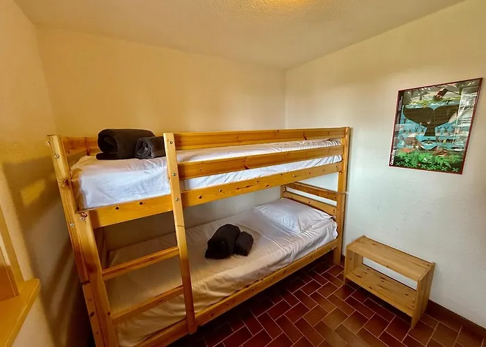 S 4 4 Familial 10pax Chalet Gryon