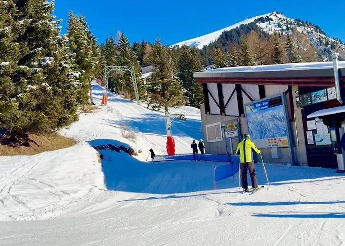 Chalet S 4 4 Familial 10pax Gryon